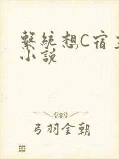 系统想C宿主的小说