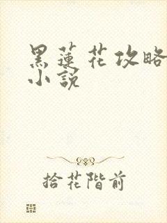 黑莲花攻略手册小说