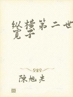 纵横第二世界 宽子