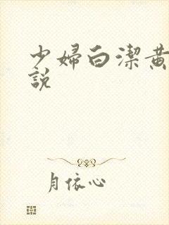 少妇白洁黄色小说