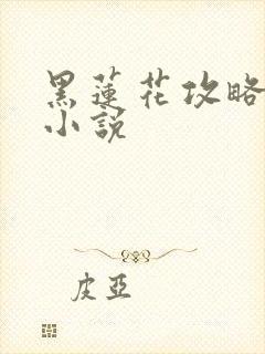 黑莲花攻略手册小说