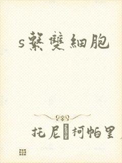 s系双细胞