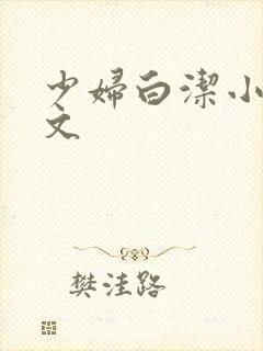 少妇白洁小说全文