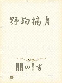 野狗摘月
