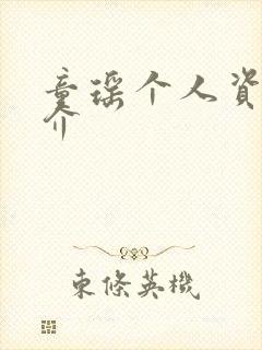 童瑶个人资料简介