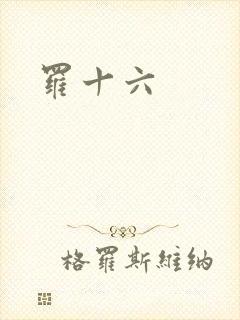 罗十六