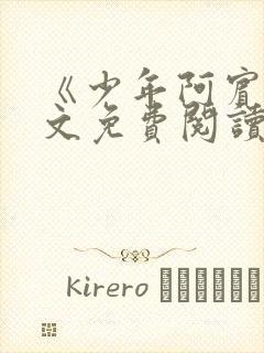 《少年阿宾》全文免费阅读