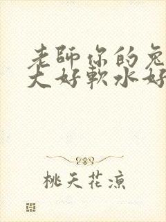 老师你的兔子好大好软水好多