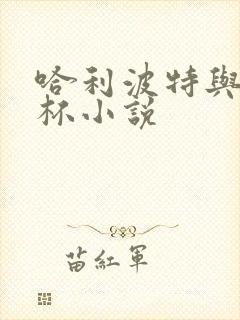 哈利波特与火焰杯小说