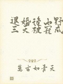 退婚后山野糙汉三天被宠成宝小说