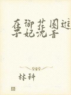 在御花园进入太子妃沈音