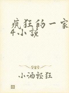 疯狂的一家ps4小说