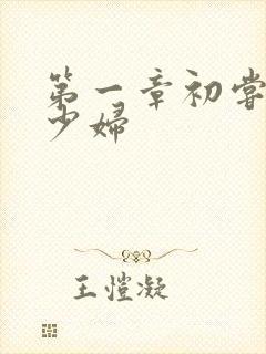 第一章初尝极品少妇