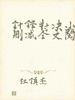 针锋对决小说未删减全文阅读