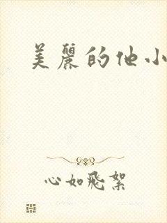 美丽的他小说
