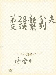 第28部分夫妇交换系列