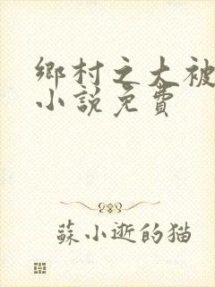 乡村之大被同眠小说免费