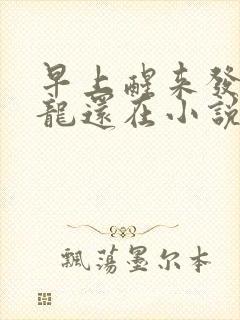 早上醒来发现巨龙还在小说