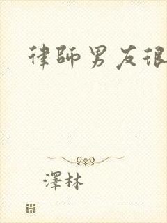 律师男友很难撩