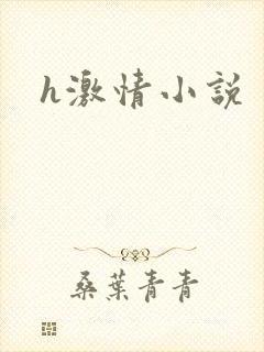 h激情小说
