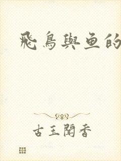 飞鸟与鱼的故事