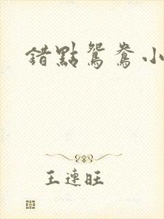 错点鸳鸯小说