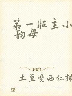 第一版主小说网 韵母