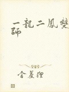一龙二凤双飞老师