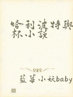 哈利波特与火焰杯小说