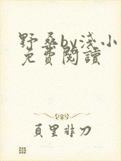 野桑by浅小说免费阅读