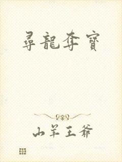 寻龙夺宝