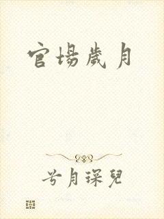 官场岁月
