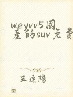 weyvv5国产的suv免费