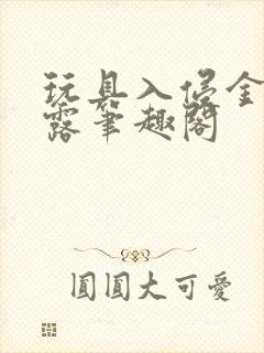 玩具入侵金银花露笔趣阁