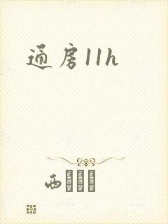 通房11h