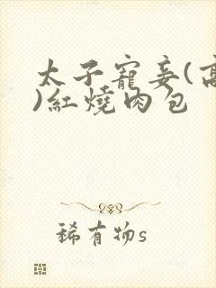 太子宠妾(高肉)红烧肉包