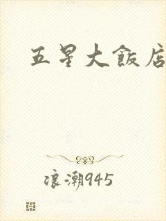 五星大饭店小说