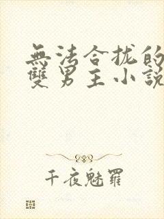 无法合拢的总裁双男主小说