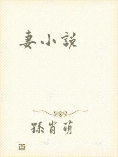 妻小说