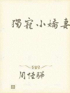 独宠小娇妻