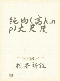 纯肉(高h.np)大尺度