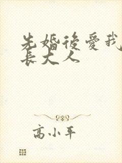 先婚后爱我的市长大人