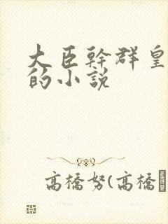 大臣干群皇太后的小说