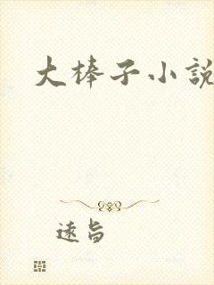 大棒子小说