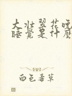 大壮翠花晚上不睡觉是什么电视剧