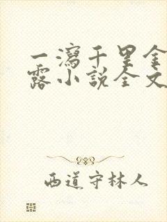 一泻千里金银花露小说全文免费阅读