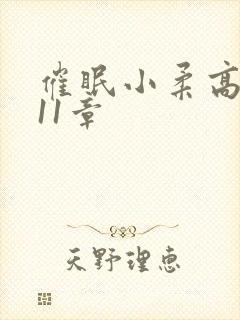 催眠小柔高达第11章