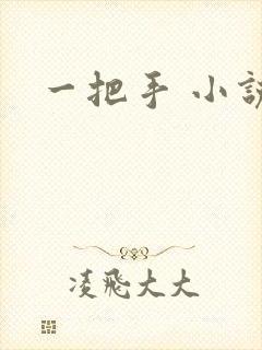一把手 小说