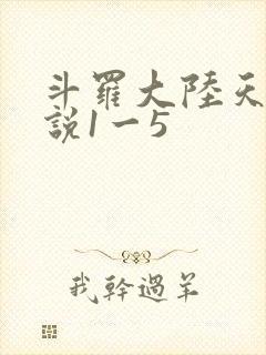 斗罗大陆天狂传说1一5