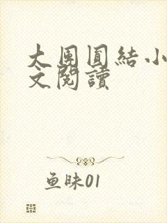 大团圆结小茹全文阅读